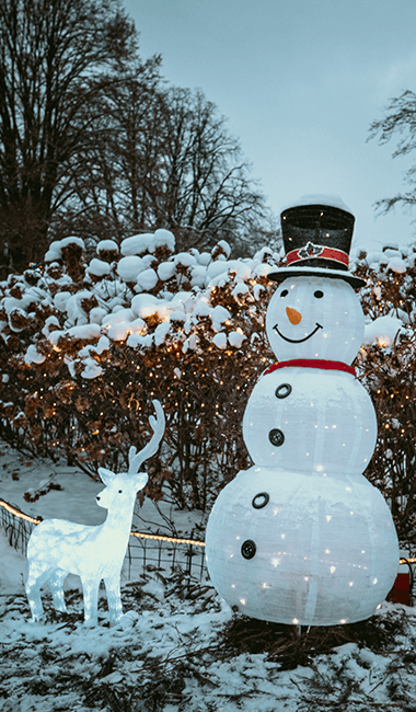 VV_POI_23_snowman