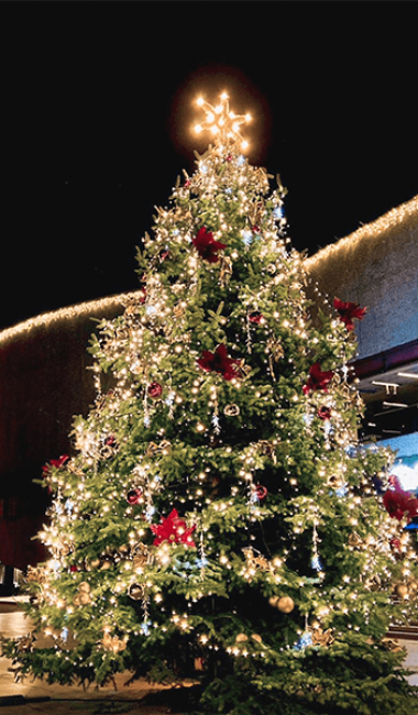 hp-gallery_tree_small